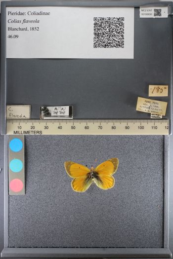 Media type: image;   Entomology 193830